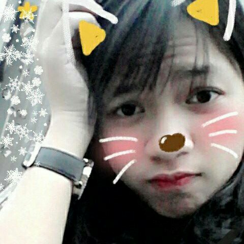 Picsart profile picture for @phongta